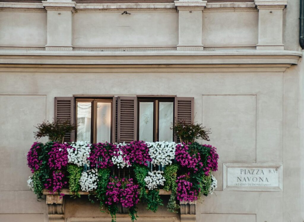 Colorful flower-adorned balcony at Piazza Navona, Rome. Elegant architecture and vibrant blooms.